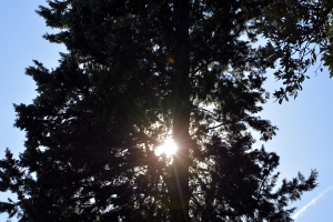 Giradino della rocca