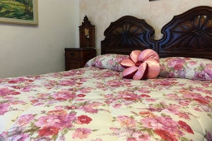 camera dell'orchideaa (3)