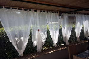 giardino (8)