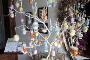 albero Pasquale