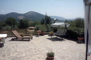 giardino (5)