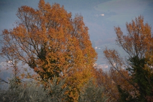 autunno