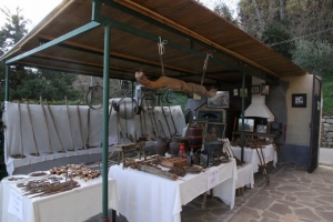 Mostra della festa dell'  olio (2)