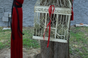 festa di l'aurea 10