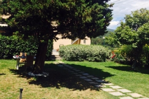 giardino (12)